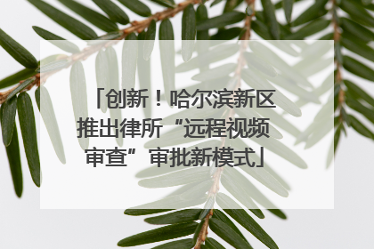 创新！哈尔滨新区推出律所“远程视频审查”审批新模式