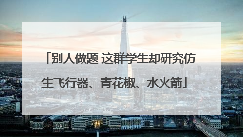 别人做题 这群学生却研究仿生飞行器、青花椒、水火箭