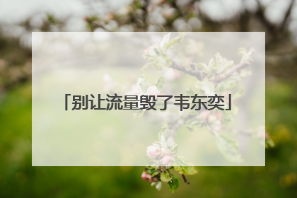别让流量毁了韦东奕