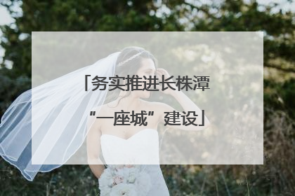 务实推进长株潭“一座城”建设
