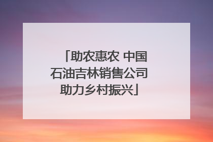 助农惠农 中国石油吉林销售公司助力乡村振兴