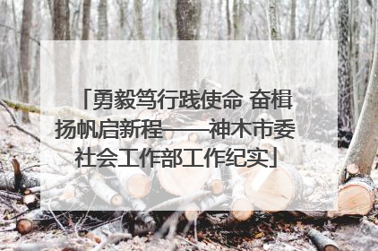 勇毅笃行践使命 奋楫扬帆启新程——神木市委社会工作部工作纪实