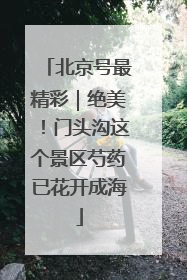 北京号最精彩｜绝美！门头沟这个景区芍药已花开成海