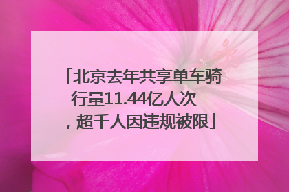 北京去年共享单车骑行量11.44亿人次，超千人因违规被限