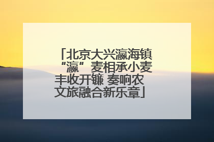 北京大兴瀛海镇“瀛”麦相承小麦丰收开镰 奏响农文旅融合新乐章