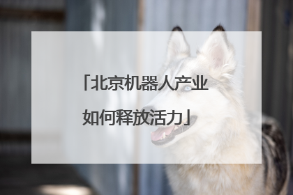 北京机器人产业如何释放活力
