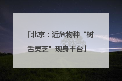 北京：近危物种“树舌灵芝”现身丰台