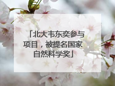 北大韦东奕参与项目，被提名国家自然科学奖
