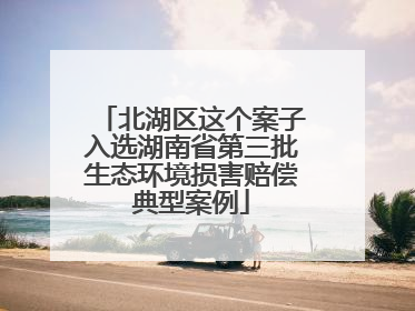 北湖区这个案子入选湖南省第三批生态环境损害赔偿典型案例