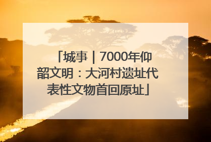城事｜7000年仰韶文明：大河村遗址代表性文物首回原址