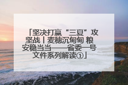 坚决打赢“三夏”攻坚战丨麦穗沉甸甸 粮安稳当当——省委一号文件系列解读①