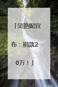 吴艳妮宣布：捐款20万！