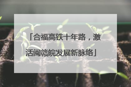 合福高铁十年路，激活闽赣皖发展新脉络