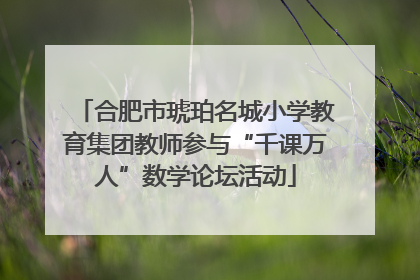 合肥市琥珀名城小学教育集团教师参与“千课万人”数学论坛活动
