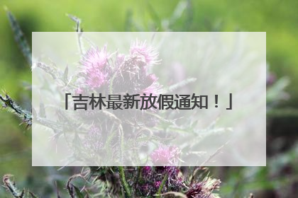 吉林最新放假通知！