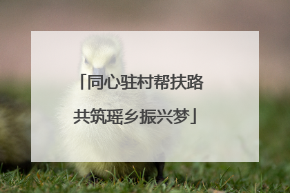 同心驻村帮扶路 共筑瑶乡振兴梦