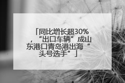 同比增长超30%，“出口车辆”成山东港口青岛港出海“头号选手”
