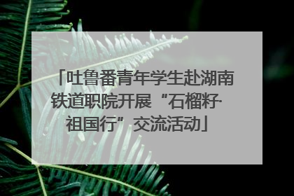 吐鲁番青年学生赴湖南铁道职院开展“石榴籽·祖国行”交流活动