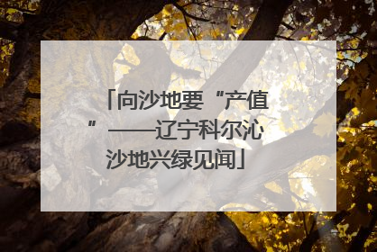 向沙地要“产值”——辽宁科尔沁沙地兴绿见闻