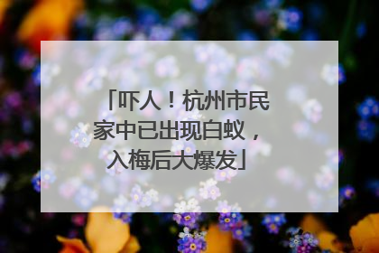 吓人！杭州市民家中已出现白蚁，入梅后大爆发