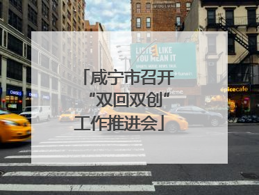 咸宁市召开“双回双创”工作推进会