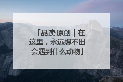品读·原创｜在这里，永远想不出会遇到什么动物