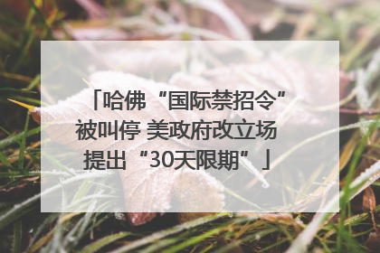 哈佛“国际禁招令”被叫停 美政府改立场提出“30天限期”