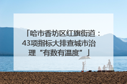 哈市香坊区红旗街道：43项指标大排查城市治理“有数有温度”