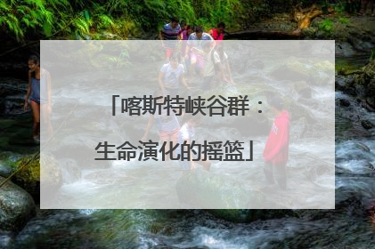 喀斯特峡谷群：生命演化的摇篮