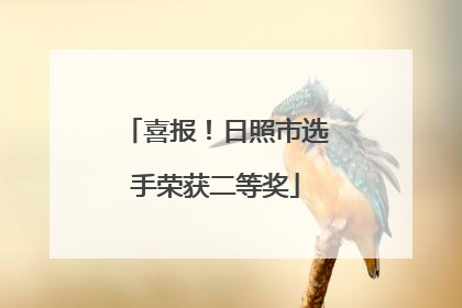喜报！日照市选手荣获二等奖