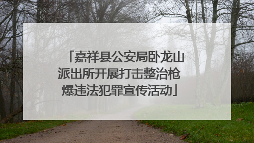 嘉祥县公安局卧龙山派出所开展打击整治枪爆违法犯罪宣传活动