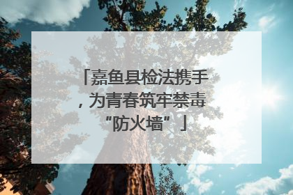 嘉鱼县检法携手，为青春筑牢禁毒“防火墙”