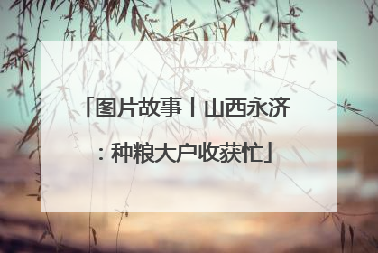 图片故事丨山西永济：种粮大户收获忙