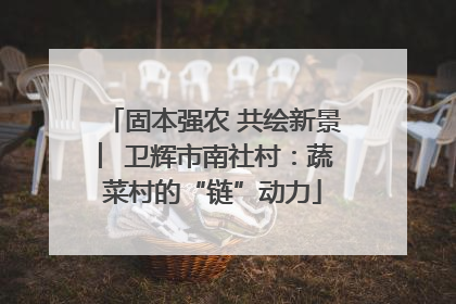 固本强农 共绘新景 ︳卫辉市南社村：蔬菜村的“链”动力