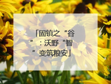 固镇之“谷”：沃野“智”变筑粮安