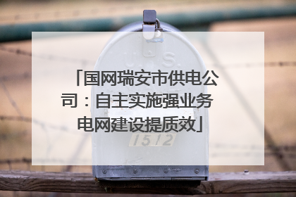 国网瑞安市供电公司：自主实施强业务 电网建设提质效