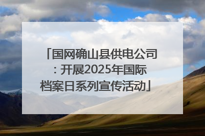 国网确山县供电公司：开展2025年国际档案日系列宣传活动