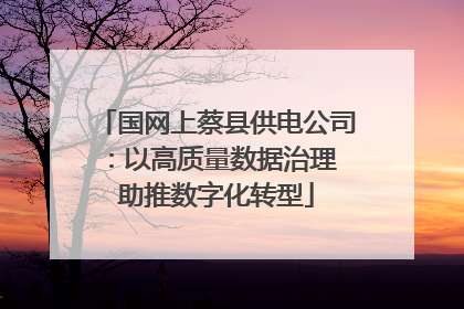 国网上蔡县供电公司：以高质量数据治理 助推数字化转型