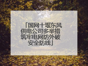 国网十堰东风供电公司多举措筑牢电网防外破安全防线