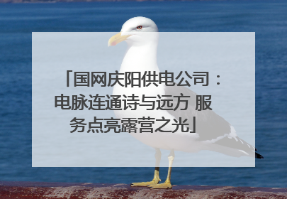 国网庆阳供电公司：电脉连通诗与远方 服务点亮露营之光