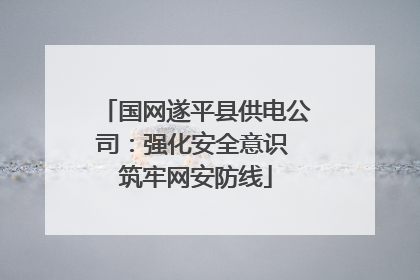 国网遂平县供电公司：强化安全意识 筑牢网安防线