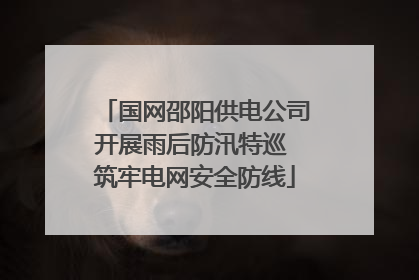 国网邵阳供电公司开展雨后防汛特巡 筑牢电网安全防线