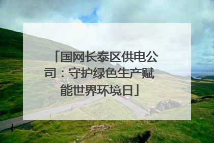 国网长泰区供电公司：守护绿色生产赋能世界环境日