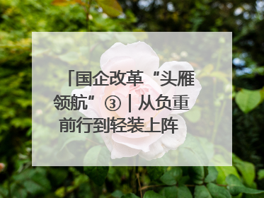 国企改革“头雁领航”③｜从负重前行到轻装上阵 重庆以“瘦身”谋“健体”