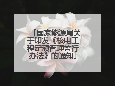 国家能源局关于印发《核电工程定额管理暂行办法》的通知