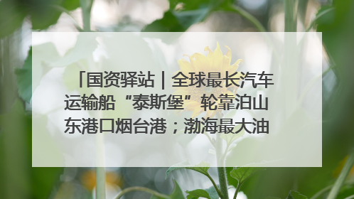 国资驿站｜全球最长汽车运输船“泰斯堡”轮靠泊山东港口烟台港；渤海最大油气平台完成浮托安装