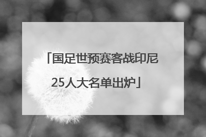 国足世预赛客战印尼25人大名单出炉