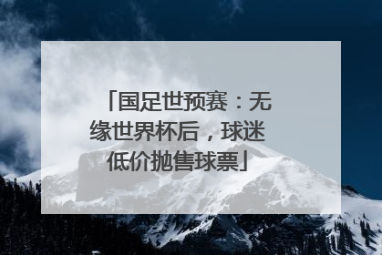 国足世预赛：无缘世界杯后，球迷低价抛售球票