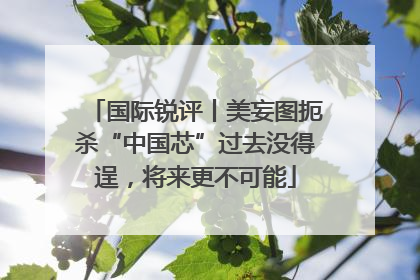 国际锐评丨美妄图扼杀“中国芯”过去没得逞，将来更不可能