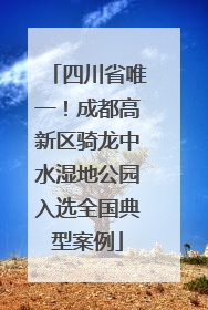 四川省唯一！成都高新区骑龙中水湿地公园入选全国典型案例